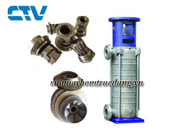                                                 Sửa máy bơm trục đứng Shimge