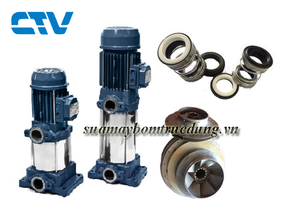                                                 Sửa máy bơm trục đứng Ebara