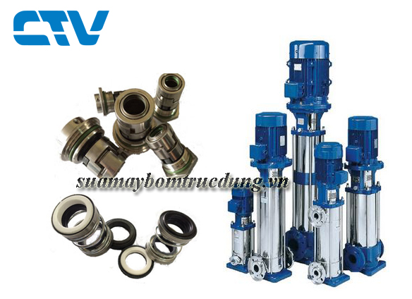                                                 Sửa máy bơm trục đứng Foras