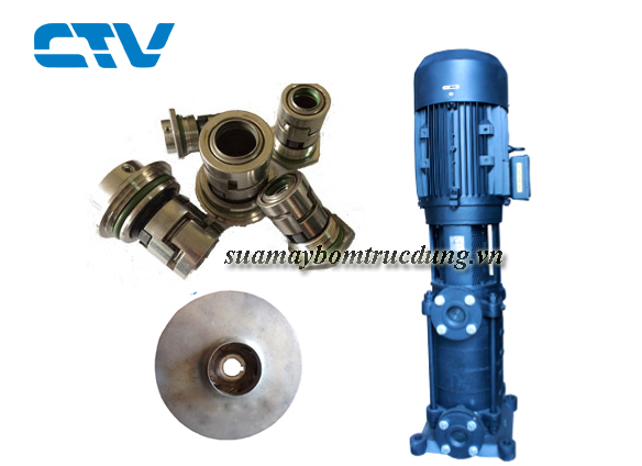                                                 Sửa máy bơm trục đứng Mitsuky