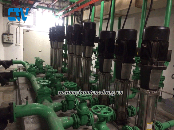 Bảo dưỡng hệ thống máy bơm trục đứng