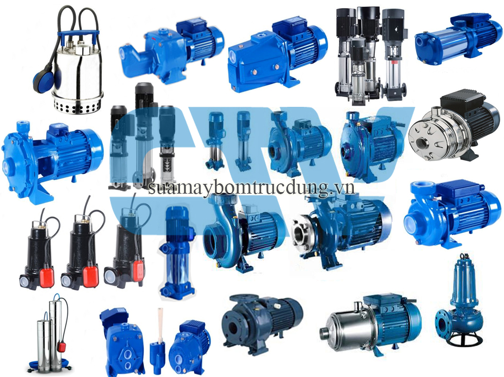 So sánh các thương hiệu máy bơm nổi bật: Ebara, Pentax, Grundfos