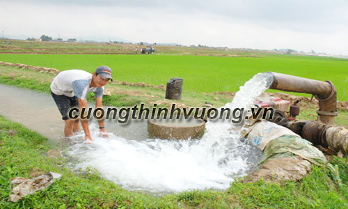 Tư vấn lựa chọn máy bơm dành cho nông nghiệp