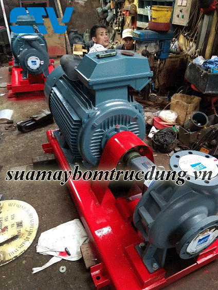 Cường Thịnh Vương cho thuê máy bơm đầu rời Ebara