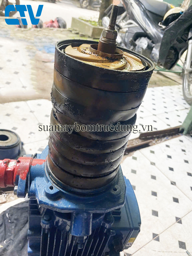 Khắc phục mọi sự cố máy bơm trục đứng Windy