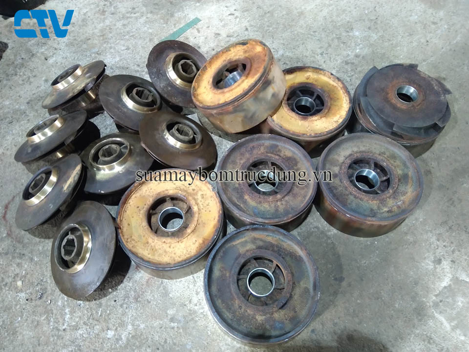 Thay ruột buồng máy bơm trục đứng Saer công suất lớn