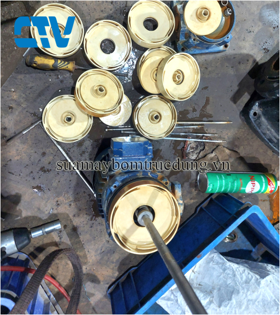 Sửa máy bơm trục đứng Forerun bị hỏng guồng bơm