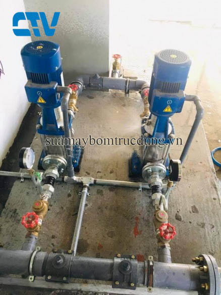 Nhận biết và khắc phục sự cố máy bơm trục đứng Speroni trong quá trình vận hành