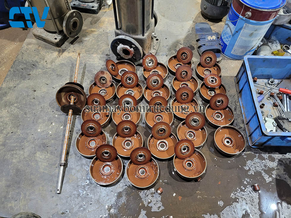 Cường Thịnh Vương sửa chữa thay bộ ruột buồng cánh máy bơm trục đứng SPERONI chuyên nghiệp